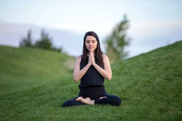 Anjali Mudra (Salutation Seal)