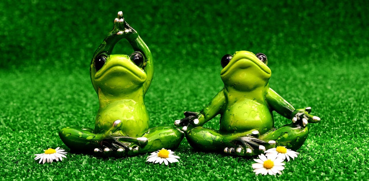 frogs, yoga, meadow-2403525.jpg